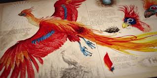 10 harry potter stars who were also on game of thrones. Harry Potter And The Chamber Of Secrets Illustrated Edition Animated Book Trailer Animated Book Illustration Harry Potter