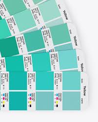 Download Color Fan Mockup In Object Mockups On Yellow Images Object Mockups Yellowimages Mockups