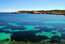 Cala Bassa Ibiza Mar Y Playa Playa Ibiza