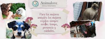 Veterinaria animalove Apartadó