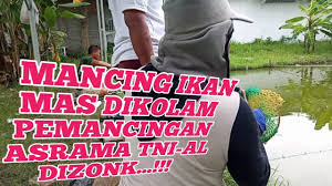 Kolam Pemancingan Ikan Lele Akan Segera Dibuka Didaerah Pejambon Kab Cirebon Youtube