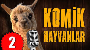 Pisi Tv Komik Hayvanlar 2 Bu Hayvanlar Konusuyor Youtube