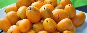 Image result for Spondias mombin