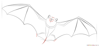 Pin On How To Draw
