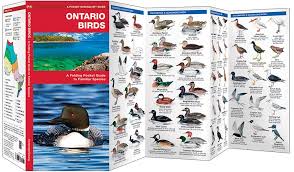 Ontario Birds 2nd Edition Pocket Naturalist Guide