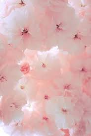 Readvogueb4icouldread Pink Aesthetic Pink Flowers Tickled Pink