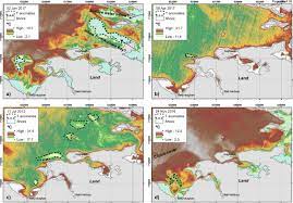 Retrouvez ici tout ce qu'il faut savoir sur les anomalies fœtales. A Combined Method Approach To Trace Submarine Groundwater Discharge From A Coastal Karst Aquifer In Ireland Springerlink