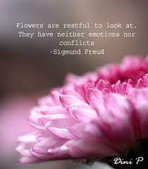 Pin By Litia Bran On Good To Know Freud Quotes Sigmund Freud Flowers