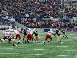 In der nacht von sonntag auf montag treffen die new england patriots im superbowl auf die los angeles rams. Cat Griz 2019 What You Need To Know