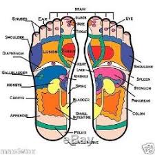 max detox practitioner ion ionic aqua chi detox cleanse foot