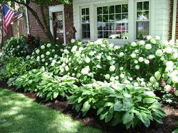 Plan For The Future When You Are Old And Cannot Do Gardening Or You Are Lazy Right Now Front Yard Landscaping Design Front Yard Landscaping Yard Landscaping Plants next to outdoor seating area.