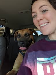 How to find a rescue or foster for a found dog in the Bay Area?