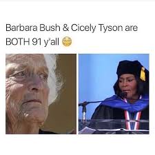 Why do all the beach trees look dead, or dying??