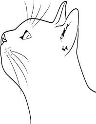 Pin Auf Ausmalbilder Katzen
