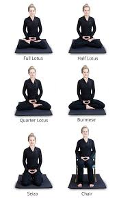 Monkey Mind Easily Distracted Meditation Posture Zazen Meditation Meditation Cushion