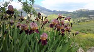 Garden Design Holiday Courses In Andalucia In Beautiful Mountain Location In Traditional Farmhouse Finca Las Morenas