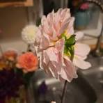 How to prevent flowers from poking through the back of a ...