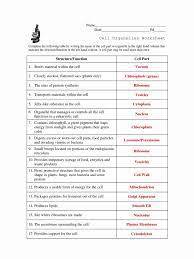Collection Of Cell Organelles Worksheet Answer Key Biology Cell Organelles Biology Worksheet Cells Worksheet
