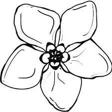 Your own forgetmenot flowers coloring pages printable coloring page. Forget Me Not Awareness Home Facebook