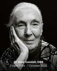 An inspiration to so many of us. RIP Dr Jane Goodall 💔 "You cannot get  through a single day without having an impact