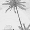 Complete guide to black and white photography. Https Encrypted Tbn0 Gstatic Com Images Q Tbn And9gcs Jd0zqjht9sirpfnl7ijrpv7lot54k Ynlmlxapehgli7odx Usqp Cau