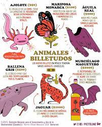 Sofia Lopez Olalde On Twitter Datos Curiosos De Animales Palabras En Nahuatl Historia De Mexico