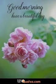 Check spelling or type a new query. 200 Beautiful Good Morning Images Latest Update