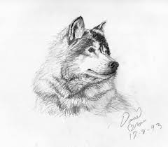 Feel free to explore, study and enjoy paintings with paintingvalley.com Anime Wolf Drawings In Pencil Anime Wallpaper
