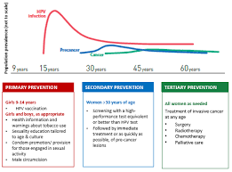 Learn more about cervical cancer diagnosis and staging at memorial sloan kettering. Https Www Who Int Docs Default Source Cervical Cancer Cerv Cancer Elimn Strategy 16dec 12pm Pdf