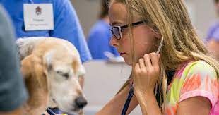 *your pet will be well taken care of while inside, if you elect to remain in the car.** if you wish to be inside, the following guidelines will apply: Veterinary Volunteer Opportunities Near Me Animal Volunteer Programs Vet Set Go