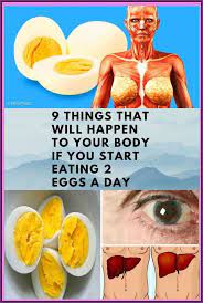 Start To Eat Two Eggs A Day And This 9 Things That Will Happen To Your Body