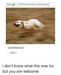 25 Best Running At Incredible Hihg Speed Memes Very Memes Incredible Hihg Speed Memes Dog Running At Incredible Hihg Speed Memes