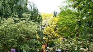 The following 24 files are in this category, out of 24 total. Trfihi Parks Parks Botanischer Garten Neuss