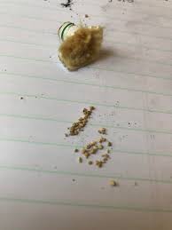 I've smoked those, the silvers and the regular crush and definitely prefer the green pack more. Rocks Or Seeds In Cigarette Filter Trying To Figure Out American Spirit Light Menthol Cigarettes