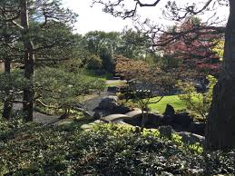 looking at the zen garden of eko house duesseldorf