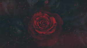Each red wallpaper here will portray your mood in any given time. Red Laptop Wallpapers Top Free Red Laptop Backgrounds Wallpaperaccess