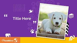 Do you remember the first time you went down a slide? Puppy Google Slides Themes Myfreeslides