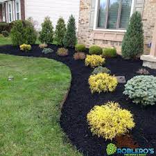 All mulch is used for a couple of primary purposes. Reasons Why You Should Apply Mulch Around Your Plants By Roblero S Pine Straw Mulch Medium