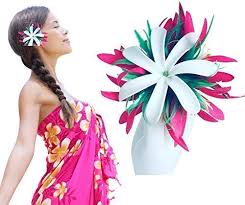 We did not find results for: Tropical Hair Clip Hawaiian Flower Hair Tiare White Flowers Pinups Hair Hula Flowers Bridals Wedding Beach Bride Tahiti Hair Flower Hawaii Barrettes Clips Weddings Valresa Com