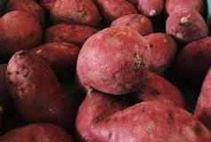 Image result