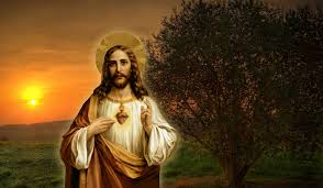 We have a massive amount of hd images that will make your computer or smartphone. 60 Sacred Heart Of Jesus Wallpaper On Wallpapersafari