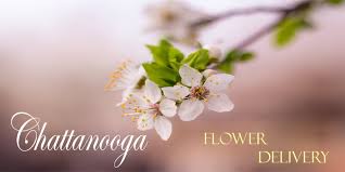 We are family owned and operated and dedicated to meet all your floral and gift needs. 10 Picks For Best Flower Delivery In Chattanooga Tn 2021