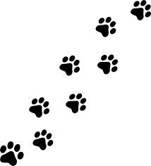 We did not find results for: Free Paw Print Clipart Pictures Clipartix