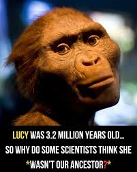 Fifty years ago, paleoanthropologist Donald Johanson and his student, Tom  Gray, discovered the fossil of the earliest known human ancestor to walk  upright in the Afar Rift Valley of Ethiopia. They named