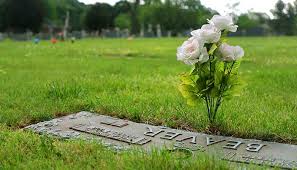 Purchasing options:you can purchase a. Preserving Ashes Meadow Branch Cemetery