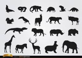 Download Jungle Animals Svg Free