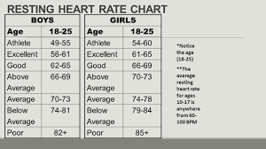 chart of normal resting heart rates resting heart rate pulse