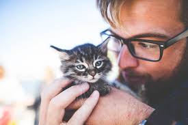 But the name scientists here at cuteness hq have been hard at work compiling the most popular animal names for the newest members of your family. Best Cat Name Ideas 30 Most Popular Male Female Cat Names For 2019 Pet Ponderosa