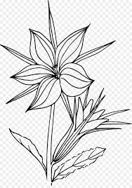 Find download free graphic resources for 1920s. Black And White Flower Png Download 1365 1920 Free Transparent Coloring Book Png Download Cleanpng Kisspng
