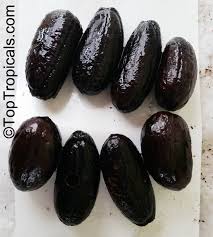 Image result for Annickia